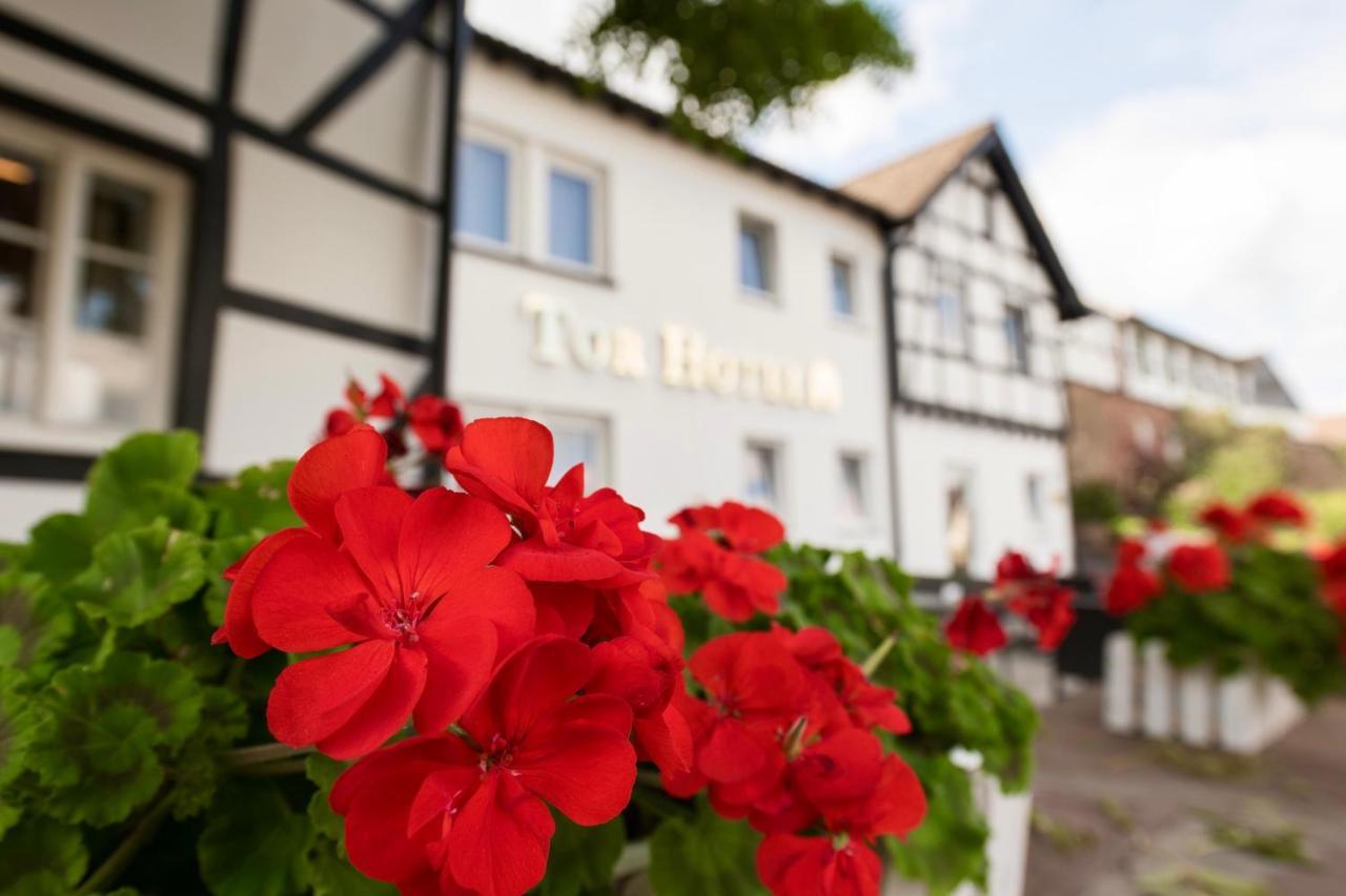 Mini-hôtel Tor